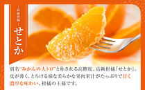 みかん&nbsp;の大トロ&nbsp;せとか&nbsp;1.5kg&nbsp;訳あり&nbsp;ブランド&nbsp;和歌山&nbsp;有田みかん&nbsp;農家直送&nbsp;オレンジ&nbsp;フルーツ&nbsp;果物