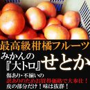 せとか みかんの大トロ 4kg 訳あり ブランド 和歌山 有田みかん 農家直送 オレンジ フルーツ 果物