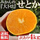 せとか みかんの大トロ 4kg 訳あり ブランド 和歌山 有田みかん 農家直送 オレンジ フルーツ 果物