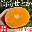 せとか ＜別名-みかんの大トロ＞ 和歌山県有田川町産 オレンジ 家庭用 8kg