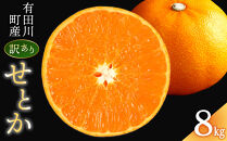 せとか&nbsp;＜別名-みかんの大トロ＞&nbsp;和歌山県有田川町産&nbsp;オレンジ&nbsp;訳あり&nbsp;8kg
