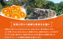 せとか&nbsp;＜別名-みかんの大トロ＞&nbsp;和歌山県有田川町産&nbsp;オレンジ&nbsp;訳あり&nbsp;8kg