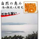 【有田川町】はるみ みかん オレンジ 2kg 和歌山県産ご家庭用