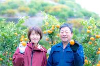 農家直送！きよみオレンジ 小玉10kg【平武農園】～蛍飛ぶ町から旬の便り～