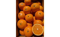 農家直送！きよみオレンジ&nbsp;小玉5kg［平武農園］～蛍飛ぶ町から旬の便り～［2026年3月下旬から順次発送予定］