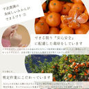 農家直送！なつみオレンジ&nbsp;小玉5kg【平武農園】～蛍飛ぶ町から旬の便り～