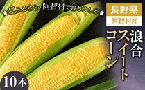 【先行予約】浪合スイートコーン | 野菜 とうもろこし トウモロコシ コーン 信州 長野