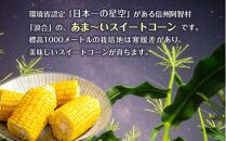 【先行予約】浪合スイートコーン | 野菜 とうもろこし トウモロコシ コーン 信州 長野
