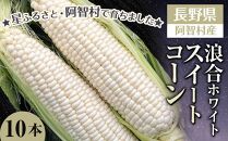 【先行予約】浪合スイートコーン（ホワイト） | 野菜 とうもろこし トウモロコシ コーン 信州 長野