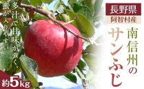 南信州 阿智村 りんご「サンふじ」｜  果物 フルーツ 林檎 リンゴ 信州 長野