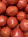 佐藤農園のフルーツトマト | 数量限定 トマト フルーツ 甘い 送料無料 信州 長野