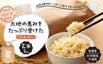 【無農薬・化学肥料不使用】大地の恵みをたっぷり受けた うるち米　あさひ（玄米）3kg