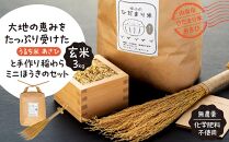 【無農薬・化学肥料不使用】大地の恵みをたっぷり受けた うるち米　あさひ（玄米）3kgと手作り 稲わらミニほうきのセット