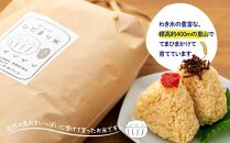 【無農薬・化学肥料不使用】大地の恵みをたっぷり受けた うるち米　あさひ（玄米）3kgと手作り 稲わらミニほうきのセット