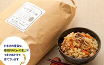 【無農薬・化学肥料不使用】大地の恵みをたっぷり受けた もち米（玄米）3kgと手作り 稲わらミニほうきのセット