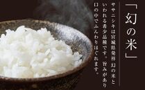 【定期便／全6回】宮城県登米市産ササニシキ精米５kg