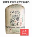 【定期便／全6回】宮城県登米市産ひとめぼれ玄米30kg