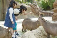 神戸どうぶつ王国 入園券(２名様分)