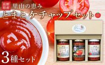 里山の恵みとまとケチャップセット ｜ 野菜 tomato トマト やさい ケチャップ 調味料 料理 オムライス チキンライス 煮物
