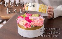 【季節限定商品】【先行予約】フラワーケーキＳ Mothers day Flower Gift 花ギフト 生花 ＜想いを届ける母の日ギフト＞※2025年5月6日～9日の間にお届け