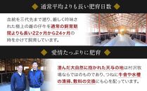 幻の美味「村沢牛」ステーキ用　400g（サーロイン200g×2枚）｜&nbsp;牛肉&nbsp;お肉&nbsp;肉&nbsp;和牛&nbsp;ステーキ&nbsp;サーロイン&nbsp;京都&nbsp;限定&nbsp;ギフト&nbsp;送料無料&nbsp;&nbsp;信州&nbsp;長野県産