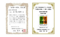 素にして上質&nbsp;ぜ～んぶ佐渡産&nbsp;柿餅・創作おかき&nbsp;かきもち&nbsp;本場の本物&nbsp;詰合せ3種&nbsp;各2パック	