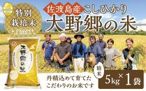 【令和５年産】佐渡島産 特別栽培米こしひかり「大野郷の米」 精米5kg×１袋