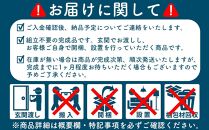 下駄箱 収納 シューズボックス 幅60cm 奥行35cm 高さ93cm 靴箱 オリオン 60cm幅 ロータイプ（ホワイト）