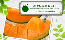 【先行予約】北海道産赤肉メロン合計3kg前後（2玉入）2026年7月中旬から順次発送予定【&nbsp;果物&nbsp;くだもの&nbsp;フルーツ&nbsp;】_01979