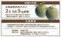 【先行予約】北海道産赤肉メロン合計3kg前後（2玉入）2026年7月中旬から順次発送予定【&nbsp;果物&nbsp;くだもの&nbsp;フルーツ&nbsp;】_01979