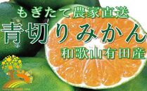 こだわりの 青切りみかん　約5kg【2024年9月下旬より順次発送】