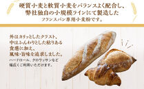 &nbsp;フランスパン専用小麦粉「レピ・ドール」5kg【&nbsp;小麦&nbsp;小麦粉&nbsp;粉&nbsp;パン用&nbsp;穀物&nbsp;フランスパン&nbsp;こむぎ&nbsp;こむぎこ&nbsp;人気&nbsp;おすすめ&nbsp;香川県&nbsp;坂出市】