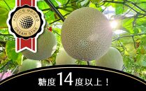 さぬきメロン Dream Star 1.3kg以上｜メロン 糖度 14度以上 甘い フルーツ 果物 くだもの 特産 ふるさと 坂出市 香川 さぬき 食品 人気 おすすめ 送料無料