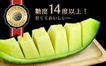 さぬきメロン Dream Star 1.3kg以上｜メロン 糖度 14度以上 甘い フルーツ 果物 くだもの 特産 ふるさと 坂出市 香川 さぬき 食品 人気 おすすめ 送料無料