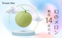 さぬきメロン Dream Star 1.1kg以上｜メロン 糖度 14度以上 甘い フルーツ 果物 くだもの 特産 ふるさと 坂出市 香川 さぬき 食品 人気 おすすめ 送料無料