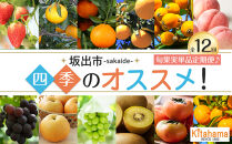 【全12回】坂出市四季のオススメ！旬果実単品定期便♪