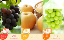 【全12回】坂出市四季のオススメ！旬果実単品定期便♪