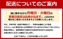 ★【着日指定必須】ブルーシールギフト12（12種類）