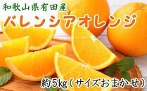 和歌山県有田産バレンシアオレンジ約5kg（サイズおまかせ）★2025年６月下旬より順次発送予定【TM52】