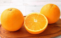 和歌山県有田産バレンシアオレンジ約5kg（サイズおまかせ）★2024年６月下旬より順次発送予定【TM52】