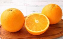 和歌山県有田産バレンシアオレンジ約5kg（サイズおまかせ）