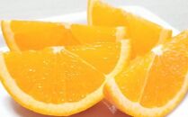 和歌山県有田産バレンシアオレンジ約5kg（サイズおまかせ）