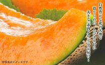 【先行予約】北海道産 赤肉メロン LLサイズ 2玉（計4.0kg以上）(2024年7月上旬発送開始予定)_02099