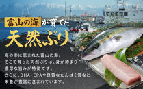 富山湾の天然ぶり丼セット&nbsp;8袋&nbsp;|&nbsp;ブリ&nbsp;丼セット&nbsp;富山湾&nbsp;和風惣菜&nbsp;加工食品&nbsp;魚介類&nbsp;水産&nbsp;食品&nbsp;ぶりづけ&nbsp;なめろう&nbsp;ごま漬け&nbsp;新鮮&nbsp;天然&nbsp;富山市&nbsp;海鮮&nbsp;丼&nbsp;冷凍食品&nbsp;お取り寄せ&nbsp;おうちごはん&nbsp;お祝い&nbsp;食卓&nbsp;贈り物&nbsp;食べ比べセット&nbsp;海の幸&nbsp;和食&nbsp;グルメ&nbsp;料理セット&nbsp;海鮮丼&nbsp;丼の具&nbsp;人気&nbsp;おすすめ&nbsp;送料無料
