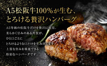 松阪牛特選ハンバーグ８個セット