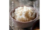 【玄米パックご飯】特別栽培米ひとめぼれ、ミルキークイーン『氷河米』 計12パック(6パック×2種) AG＜アグレスト＞