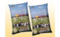 令和4年産【精米】庄内米 特別栽培米ひとめぼれ　10kg(5kg×2袋) JM＜ JA庄内みどり＞