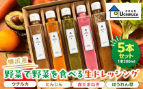 ＜横浜産＞野菜を野菜で食べる生ドレッシング　5本セット