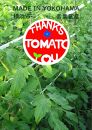 横浜育ち 『Thanks TOMATO』フルーツミニトマト