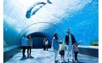 横浜・八景島シーパラダイス　ワンデーパス（水族館4施設＋アトラクション）大人2名さま＋小中学生1名さま